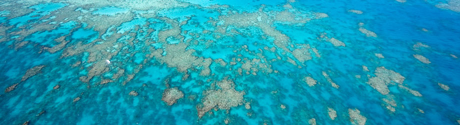 Aerial videw of reef